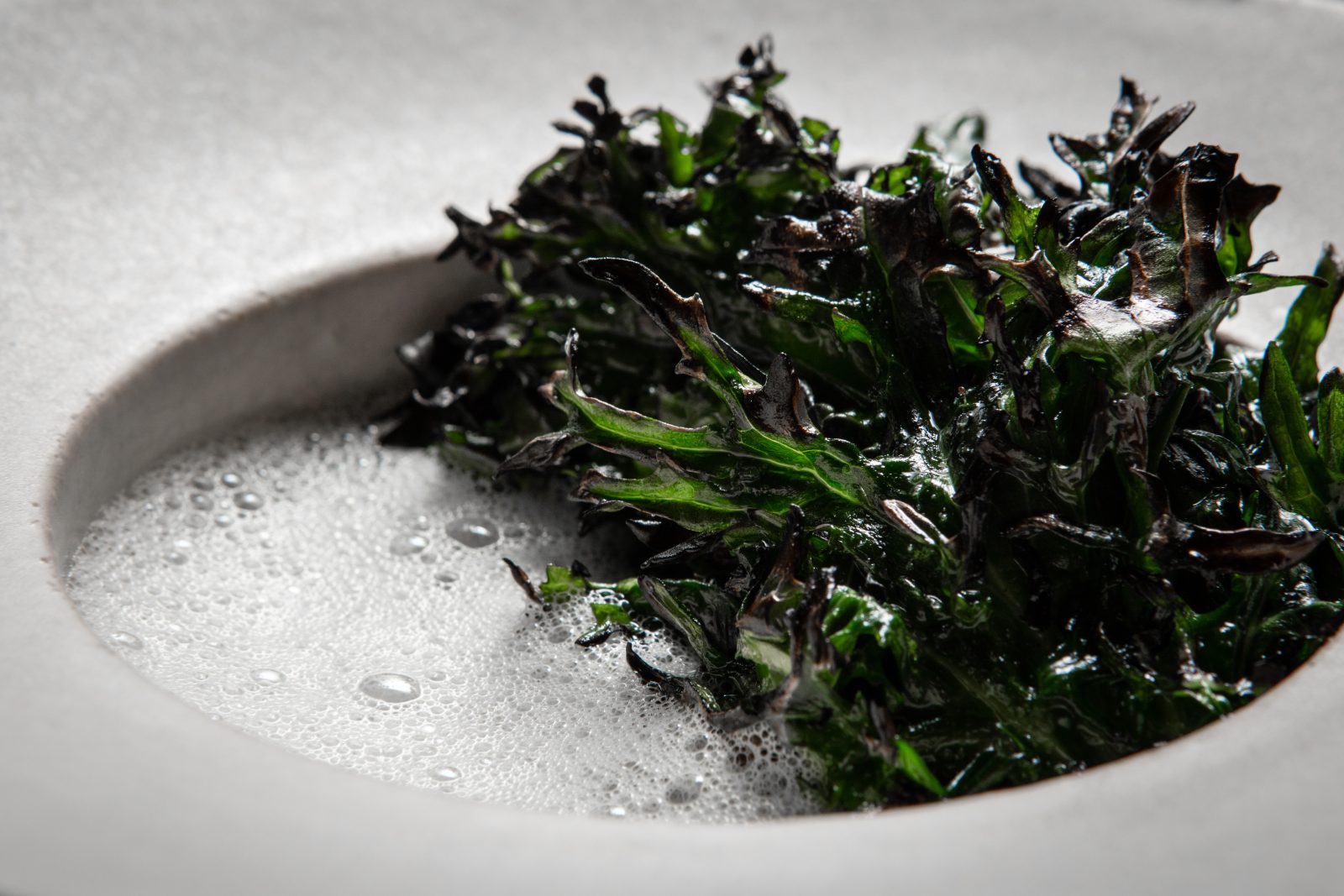 Roots at The Races with Tommy Banks