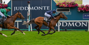 ENTRIES FOR GROUP ONE CONTESTS, SKY BET EBOR FESTIVAL