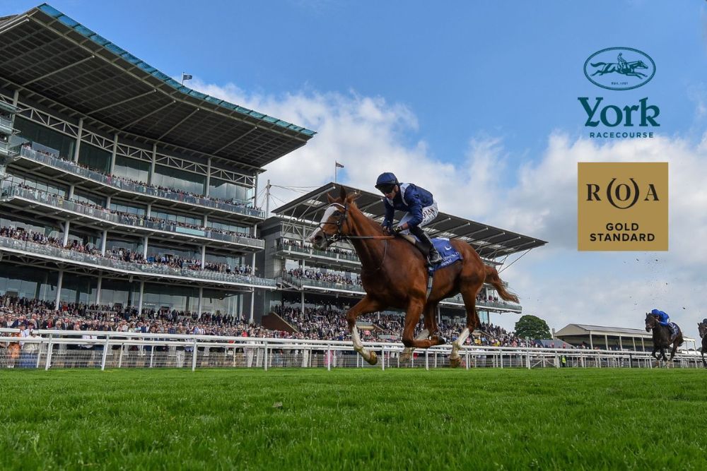 York Racecourse Retains Top Spot With Owners