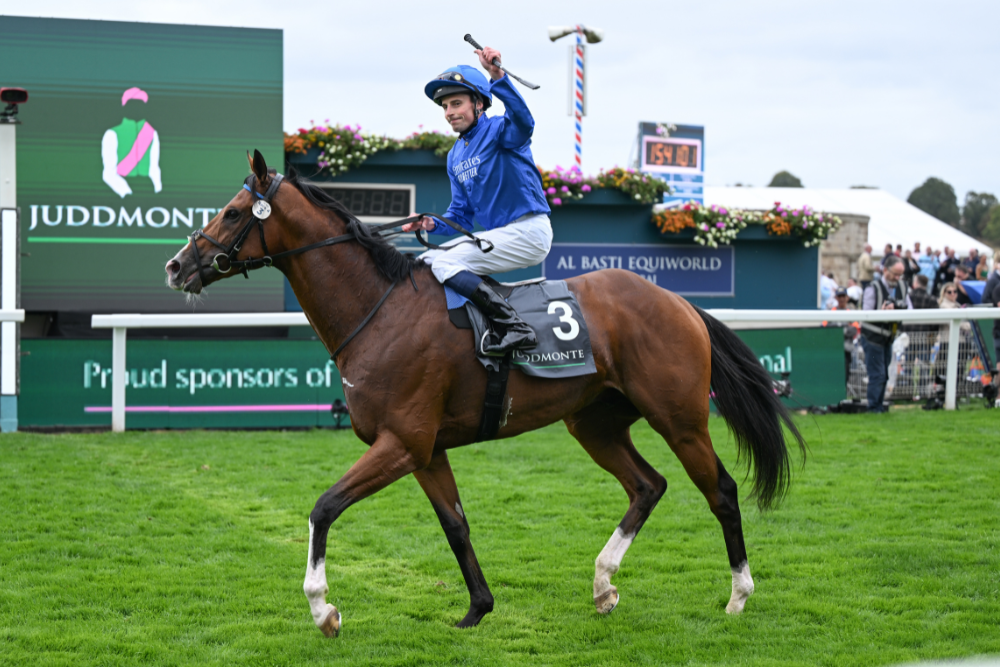 Sky Bet Ebor Festival Group One Entries