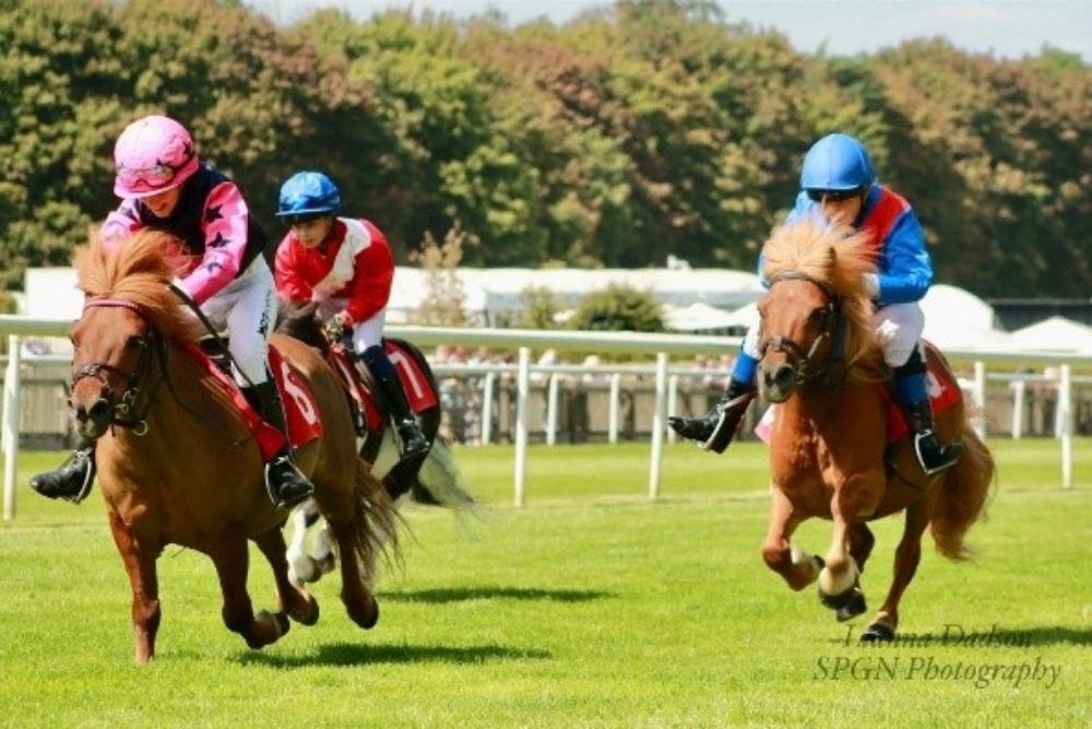 SHETLAND PONY RACE ADDS TO YORKMIX FAMILY SUNDAY