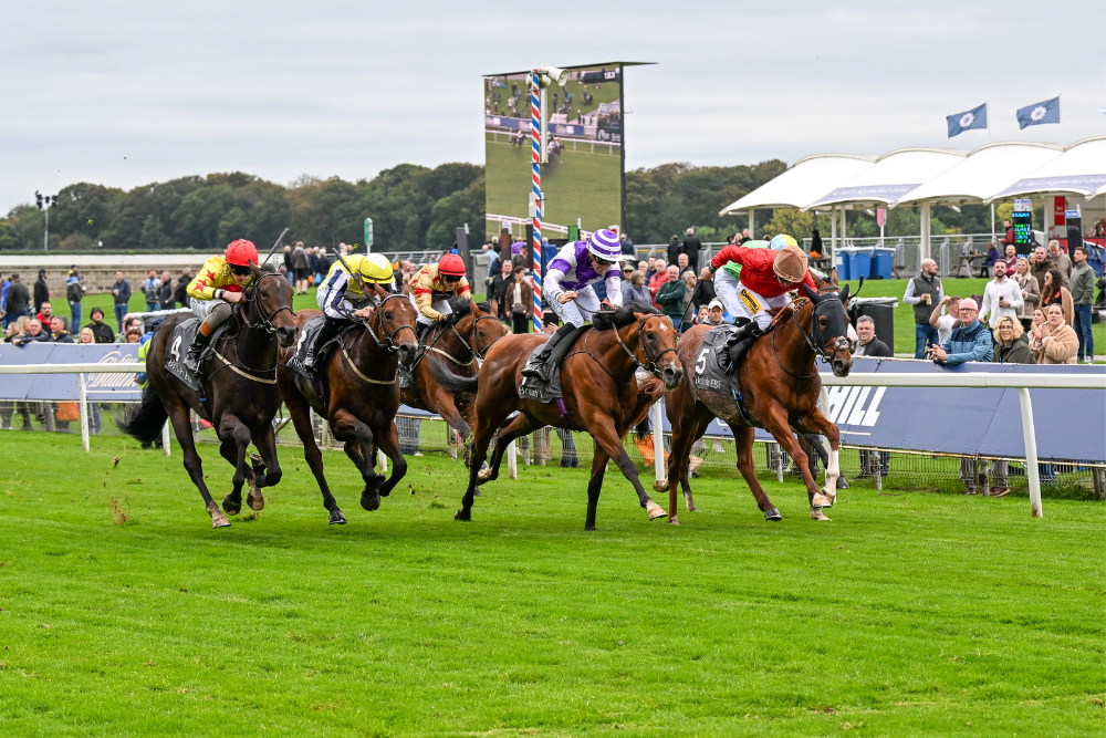 October Finale - The Horses are coming...