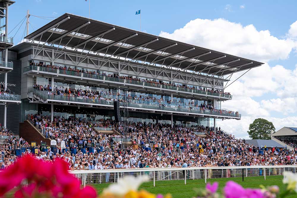 Knavesmire Stand Boxes