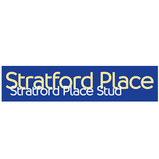 Stratford Place Stud