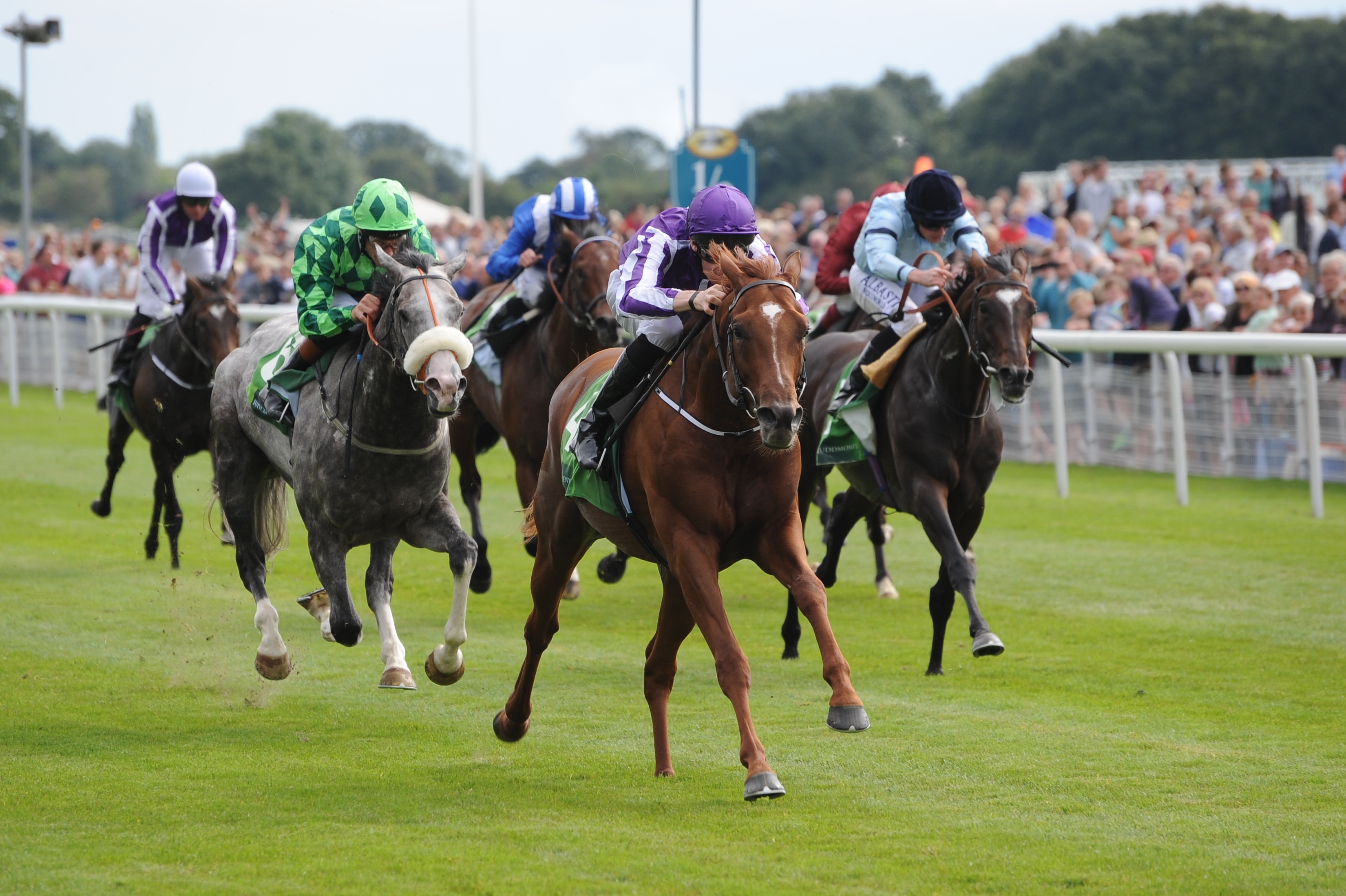 Horse Racing Nation Entries Today - o52jgys