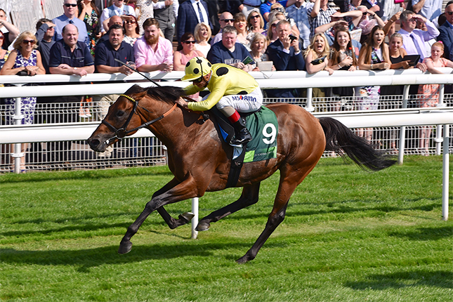 Prize money to rise to £1,000,000 for the Juddmonte International