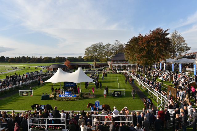 York Races October Two-day October Meeting is the richest ever seasonal conclusion | York ...
